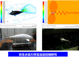 仿生水动力学及运动控制研究